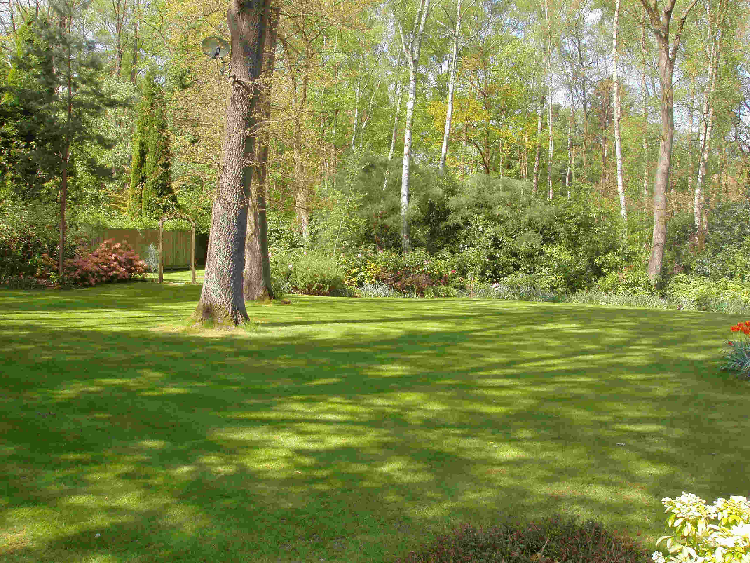 ascot2bulbs2 ascot2bulbs2